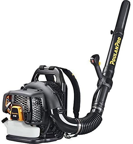 Gas Leaf Blowers Under $250